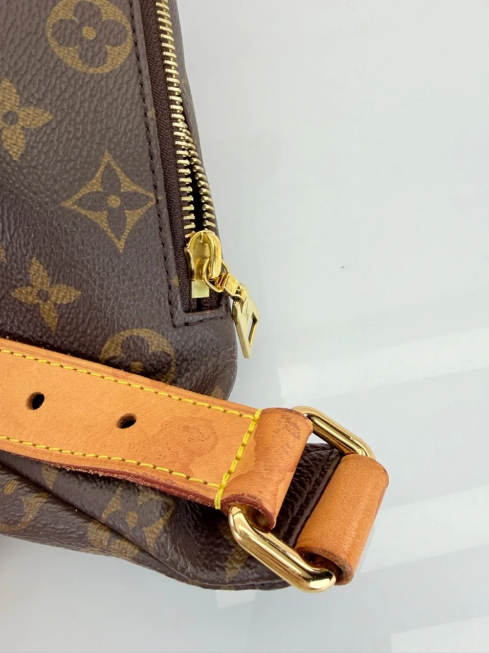 Louis Vuitton Bumbag Monogram Crossbody Belt Bag